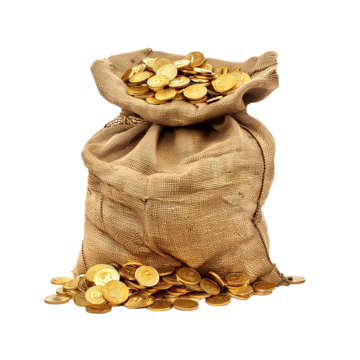 प्रीमियम प्लान X