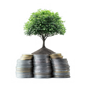 3D image of a money bag with coins